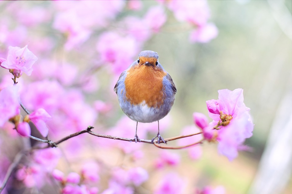 新生活
